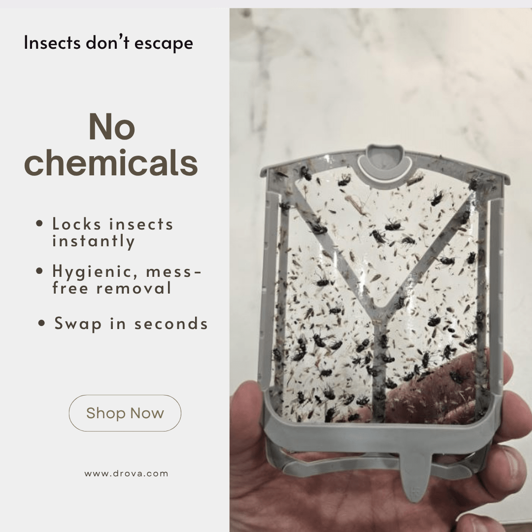 Indoor Flying Insect Trap