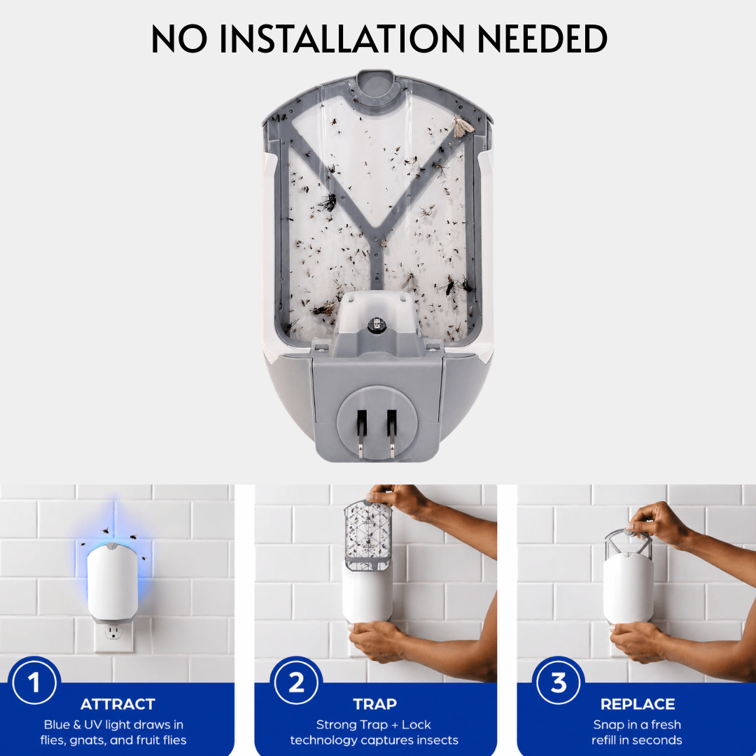 Indoor Flying Insect Trap