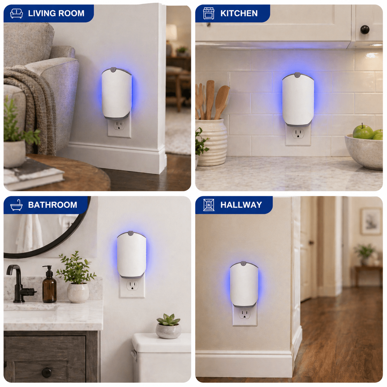 Indoor Flying Insect Trap